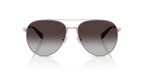 Shiny Silver