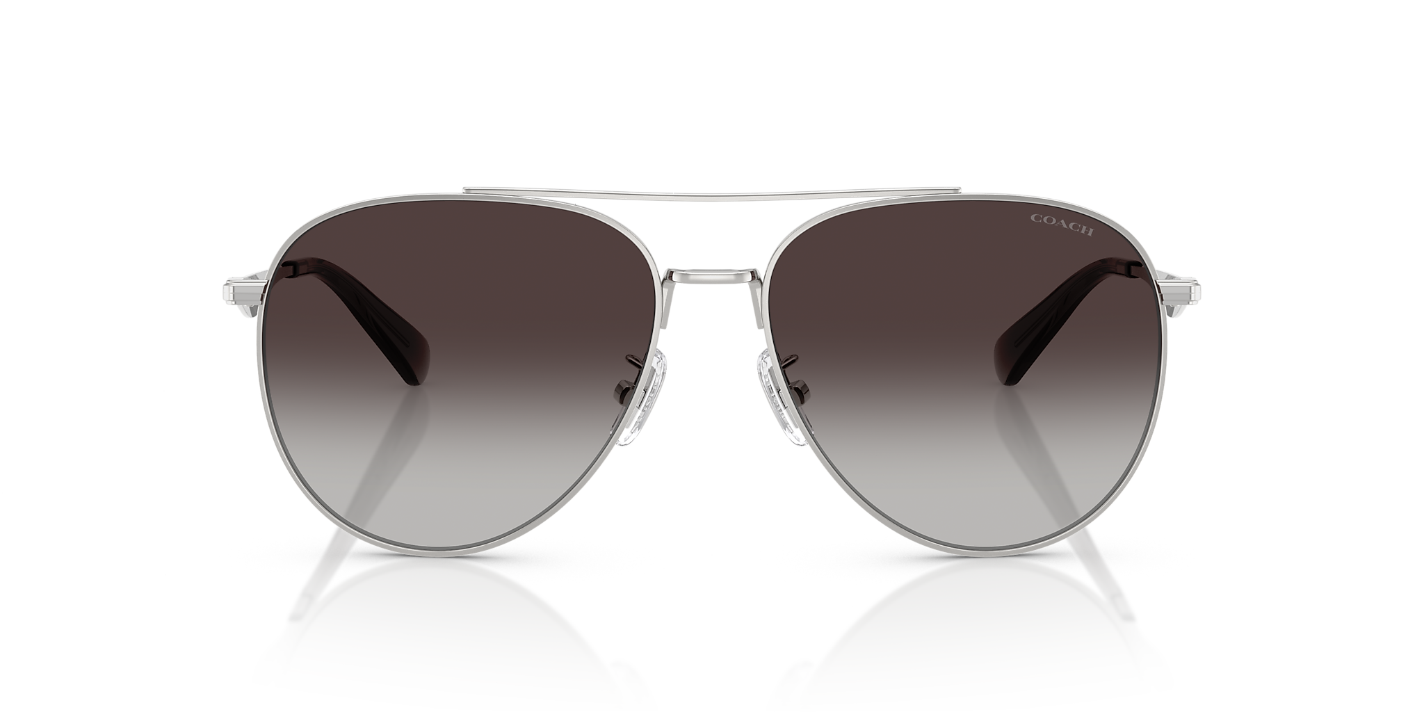 Shiny Silver
