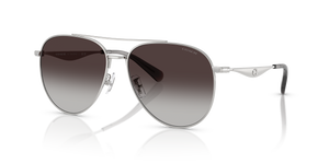 Shiny Silver  - Grey Gradient