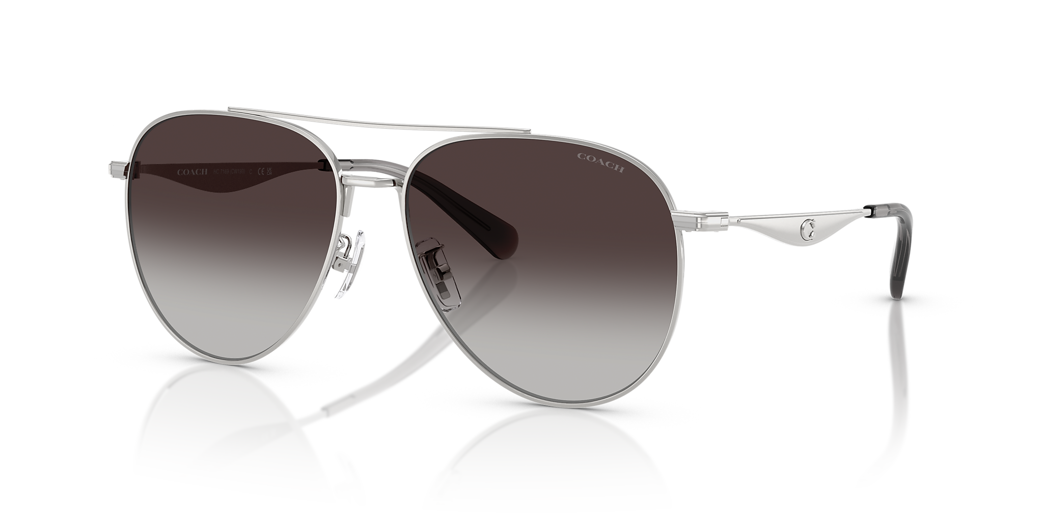 Shiny Silver
