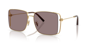 Shiny Gold  - Mauve Solid