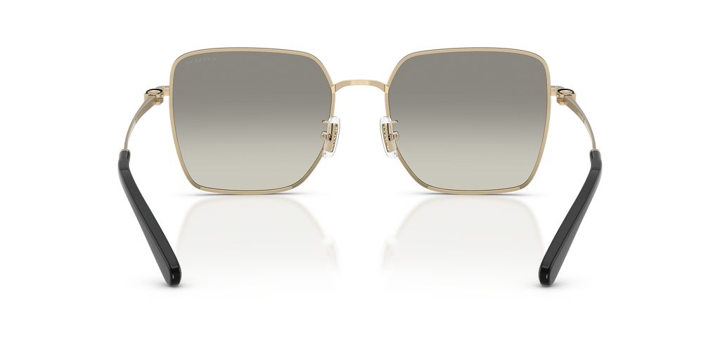 Shiny Light Gold/Black