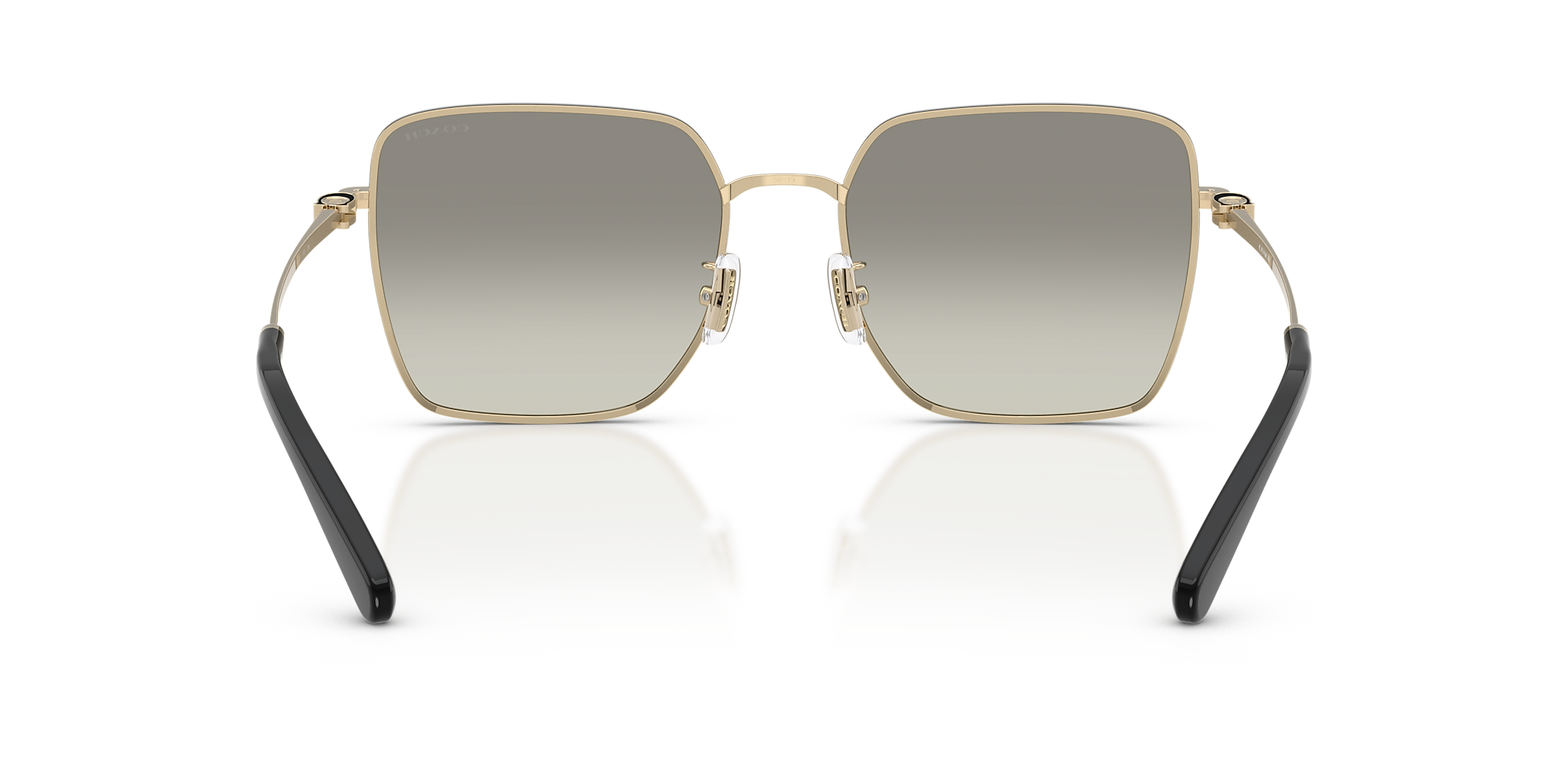 Shiny Light Gold/Black