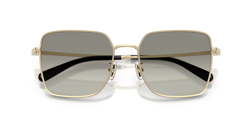 Shiny Light Gold/Black
