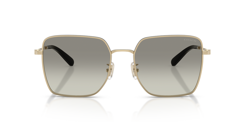 Shiny Light Gold/Black