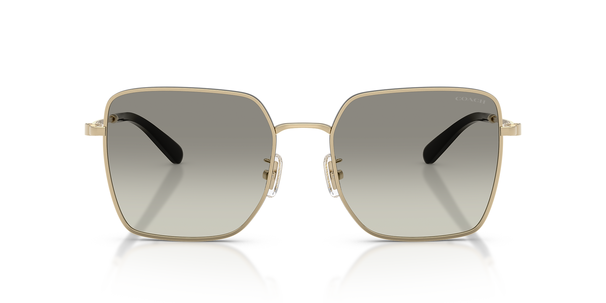 Shiny Light Gold/Black