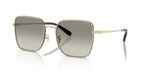 Shiny Light Gold/Black