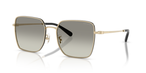 Shiny Light Gold/Black  - Grey Gradient