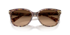 Tortoise
