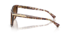 Tortoise