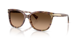 Tortoise  - Brown Gradient