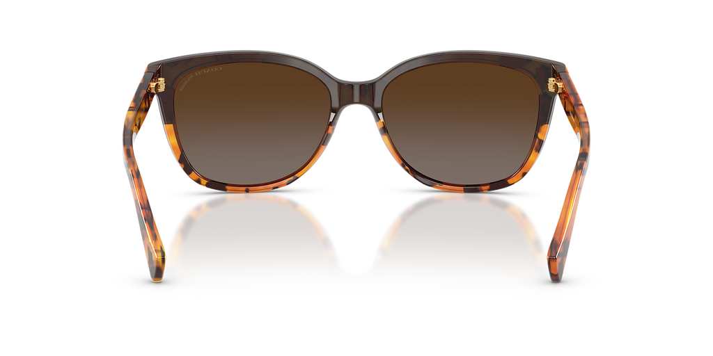 Black Tortoise Gradient