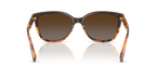 Black Tortoise Gradient