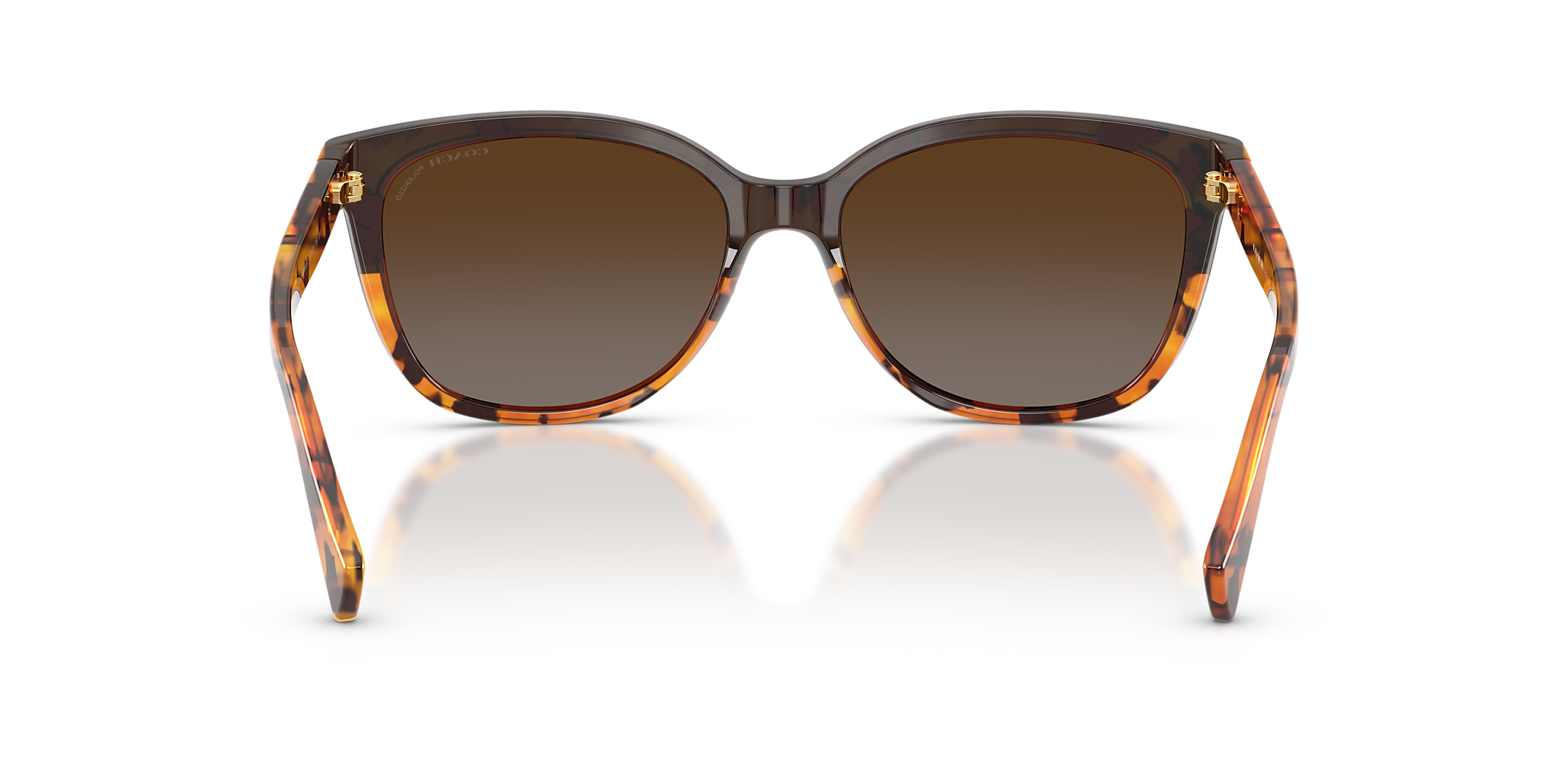 Black Tortoise Gradient