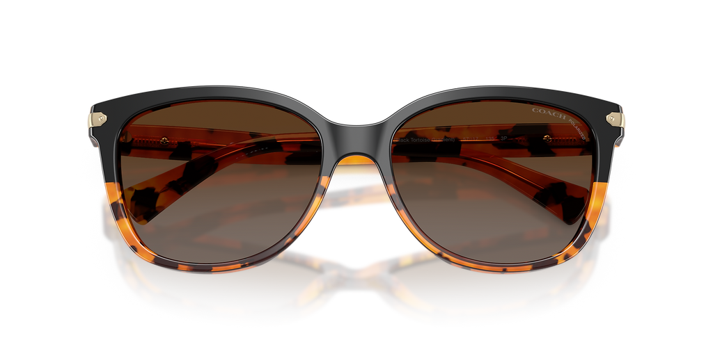 Black Tortoise Gradient