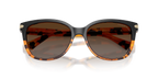 Black Tortoise Gradient