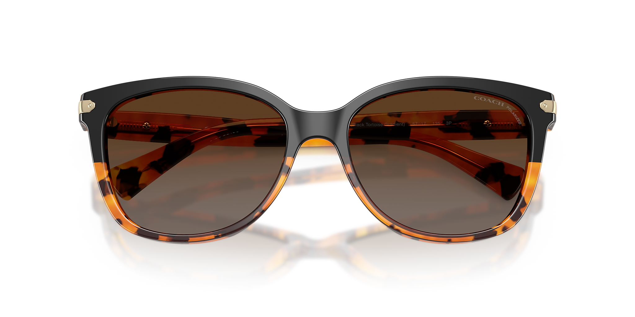Black Tortoise Gradient