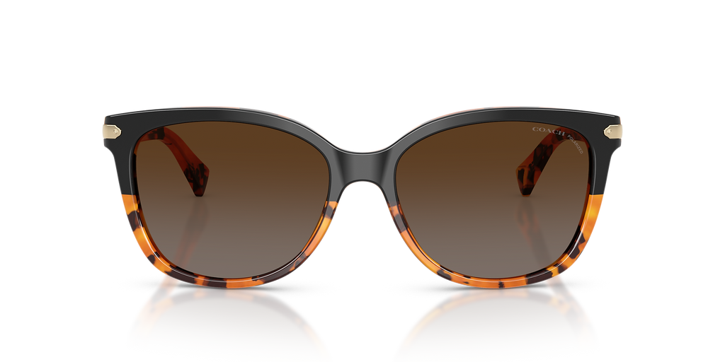 Black Tortoise Gradient