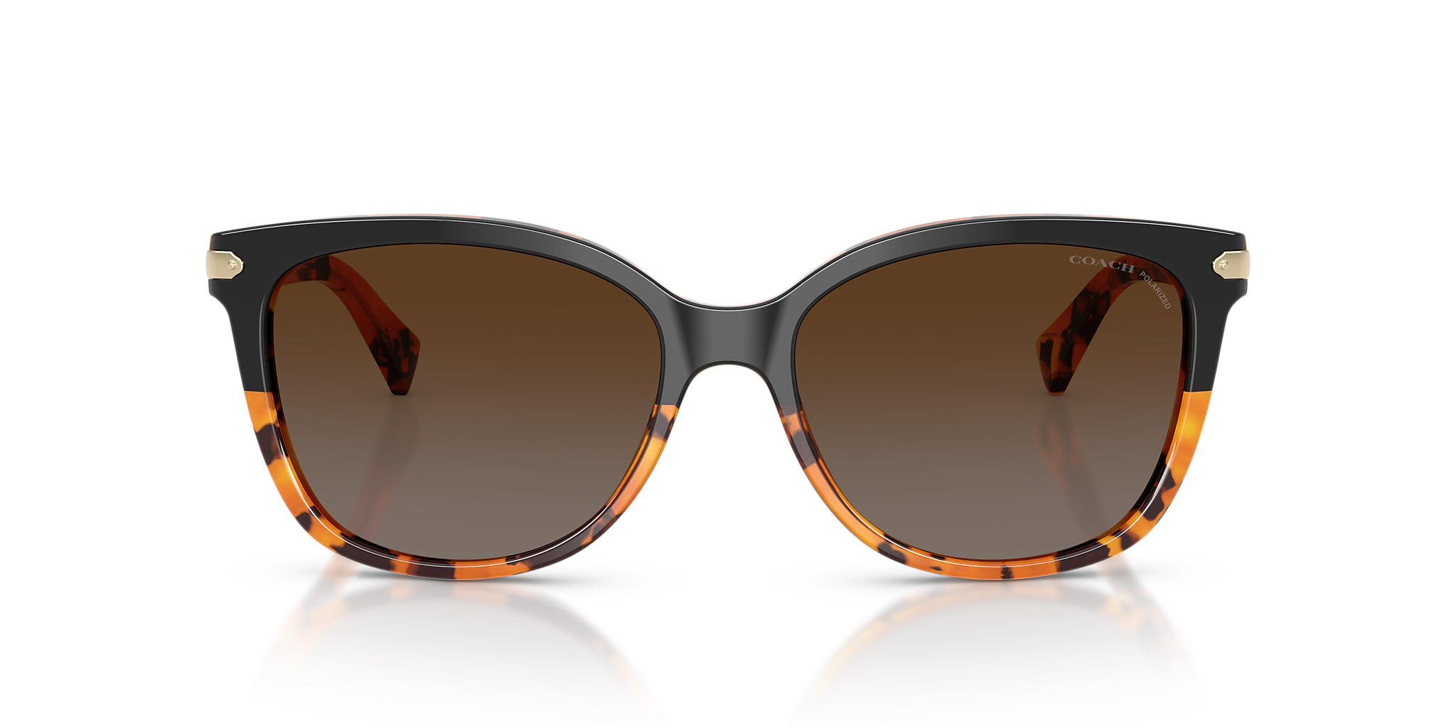 Black Tortoise Gradient