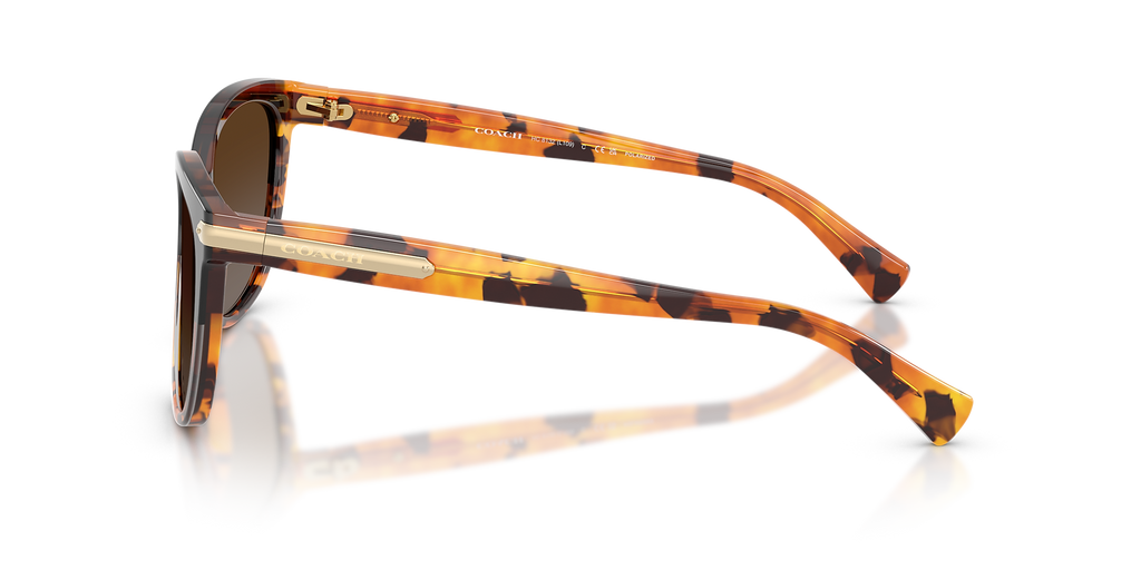 Black Tortoise Gradient