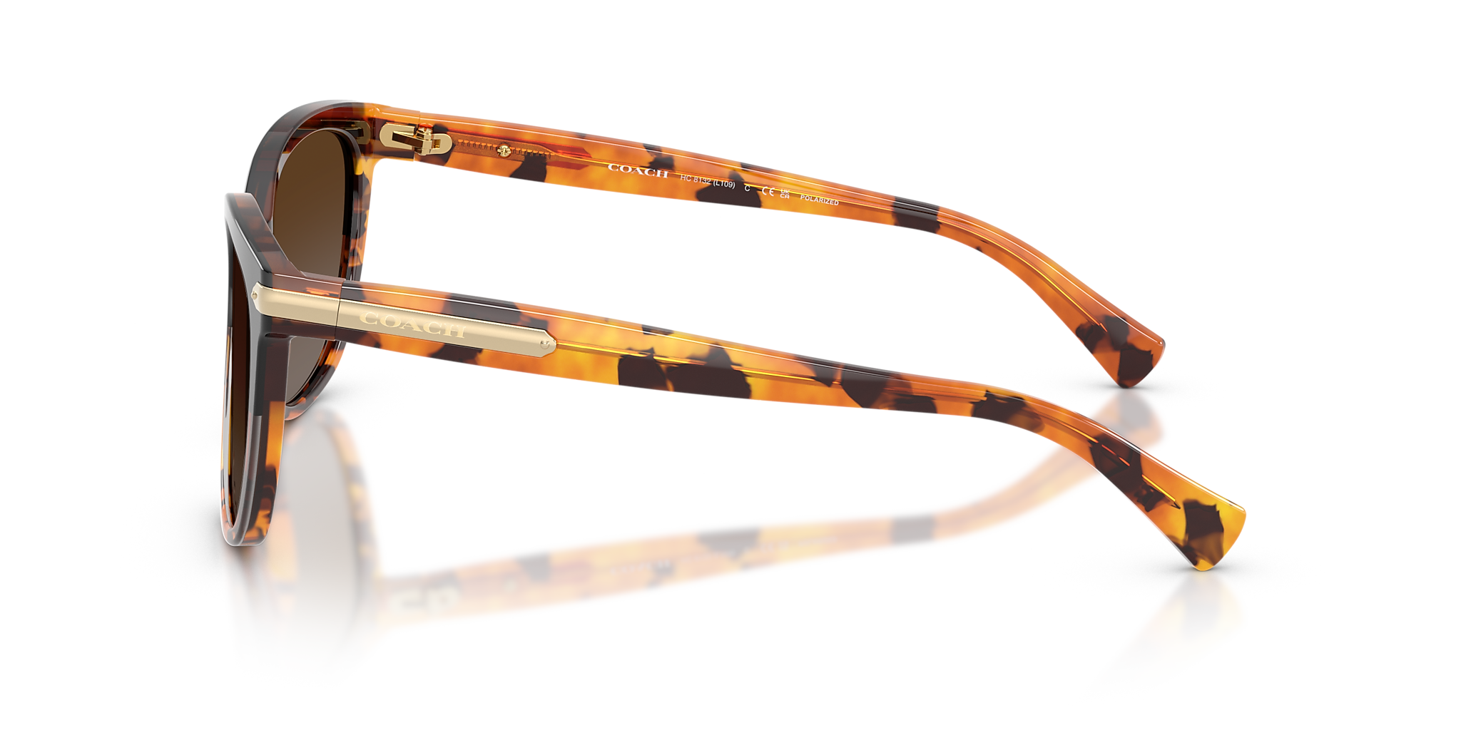 Black Tortoise Gradient