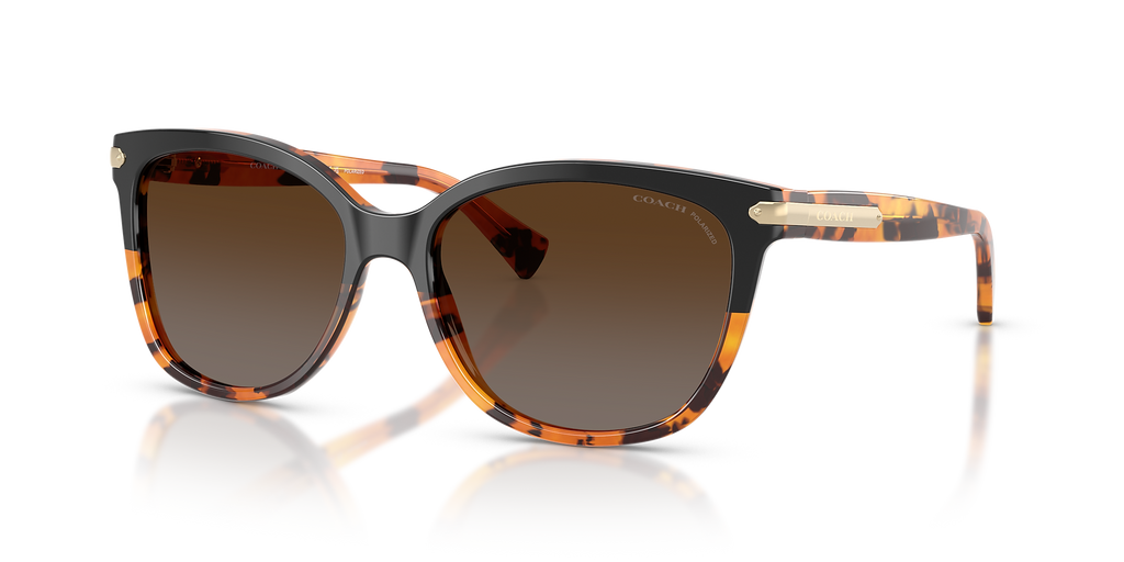 Black Tortoise Gradient