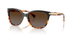 Black Tortoise Gradient