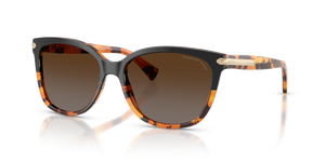 Black Tortoise Gradient  - Brown Gradient Polarized