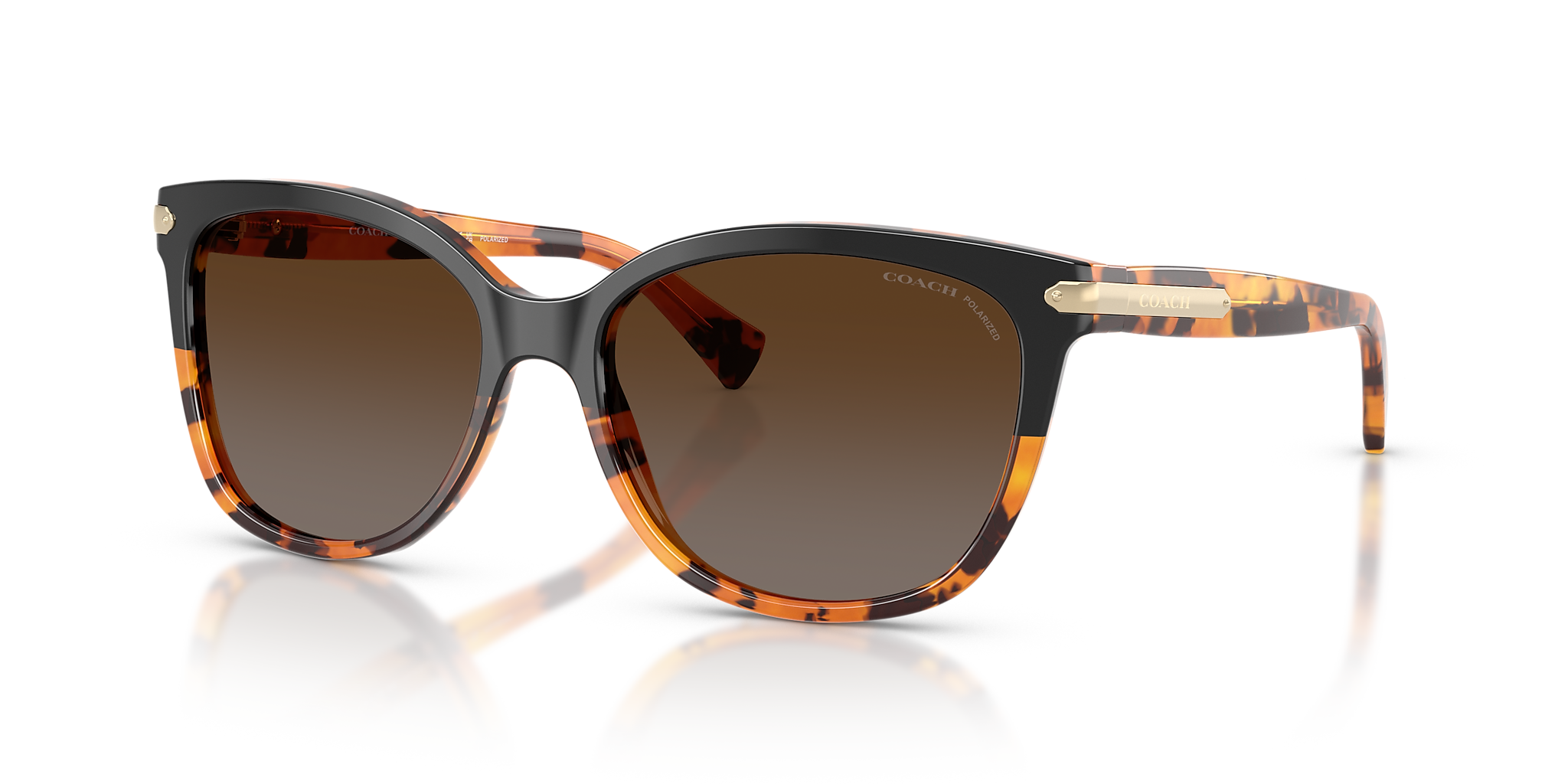 Black Tortoise Gradient