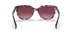 Purple Tortoise