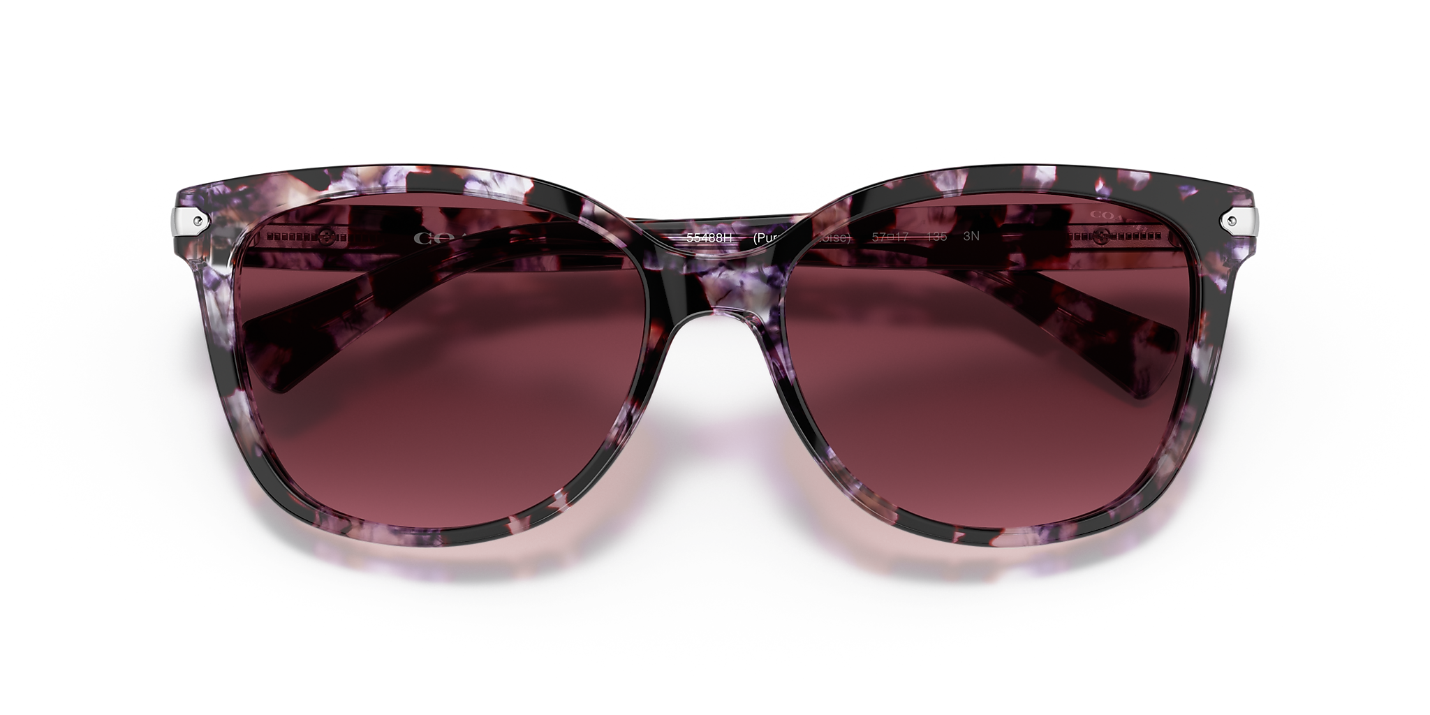 Purple Tortoise