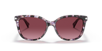 Purple Tortoise