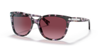 Purple Tortoise