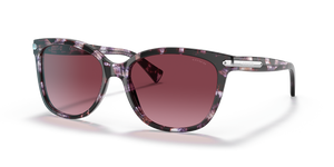 Purple Tortoise  - Burgundy Gradient