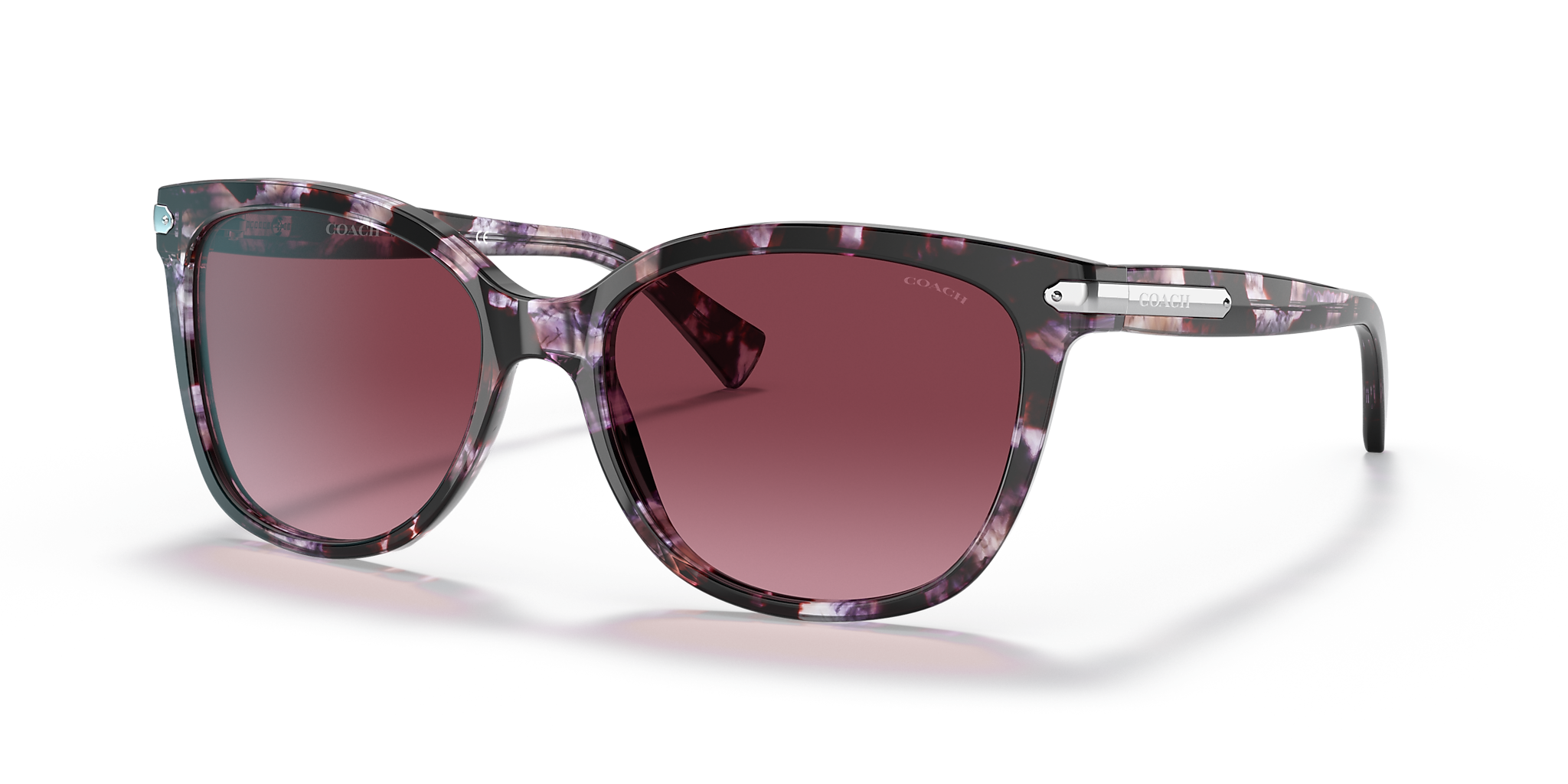 Purple Tortoise