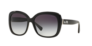 Black  - Grey Gradient
