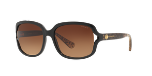Black  - Brown Gradient