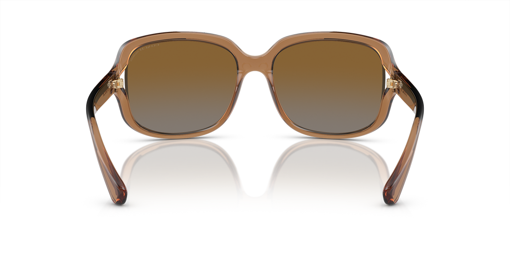 Transparent Brown