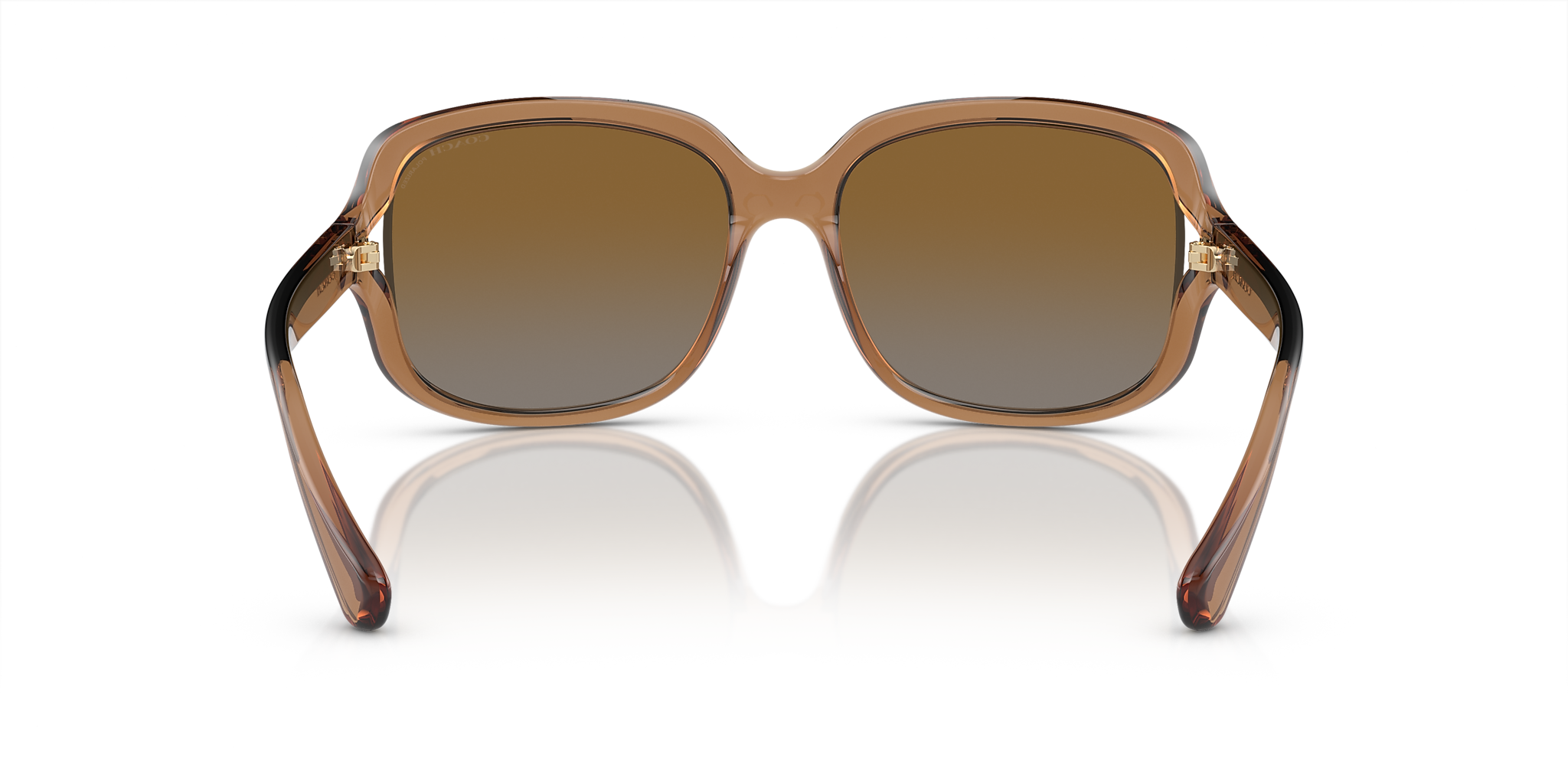 Transparent Brown