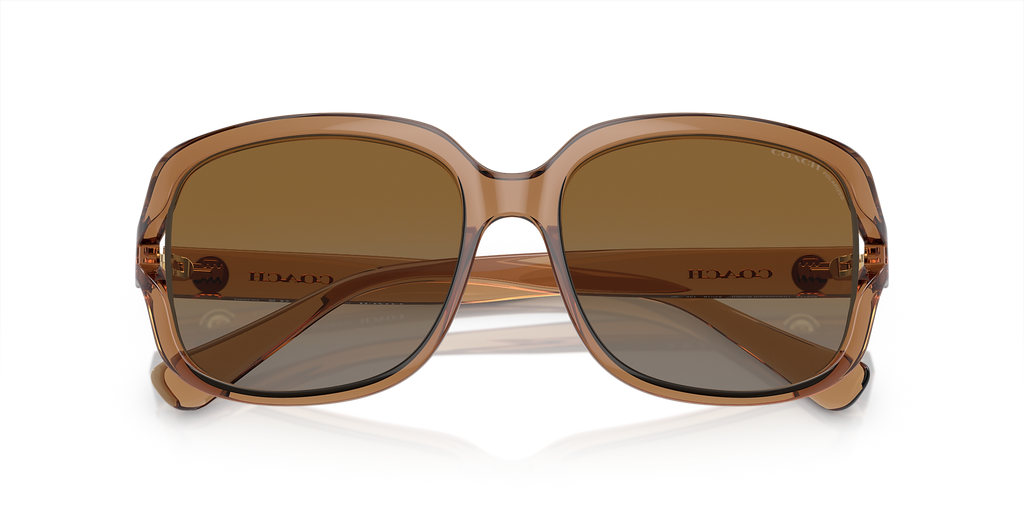 Transparent Brown