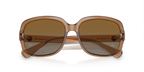 Transparent Brown