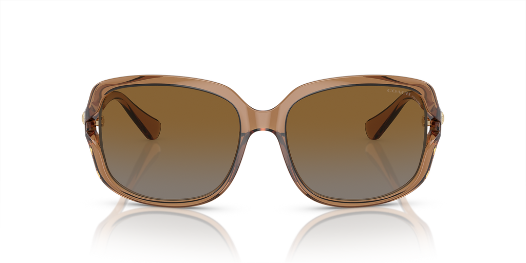 Transparent Brown