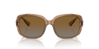 Transparent Brown