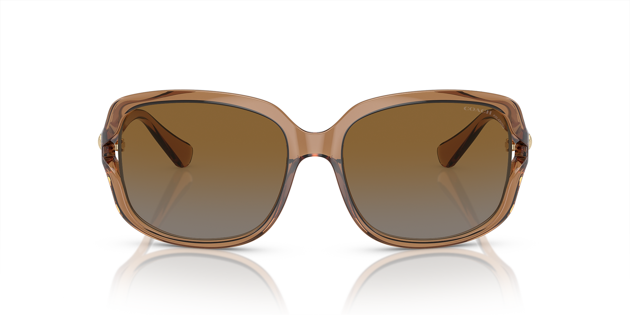 Transparent Brown