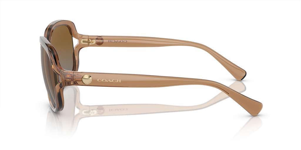 Transparent Brown