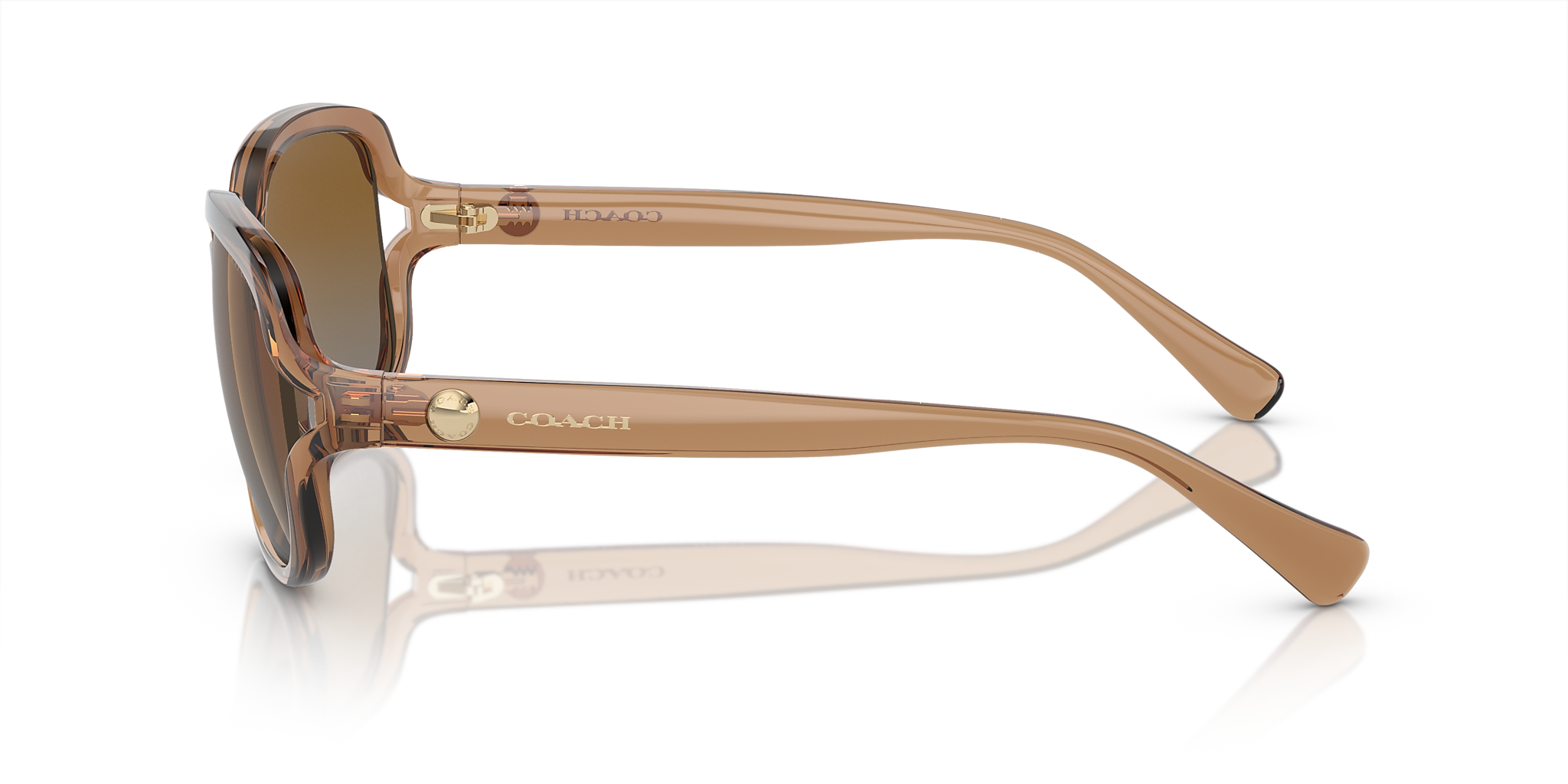 Transparent Brown