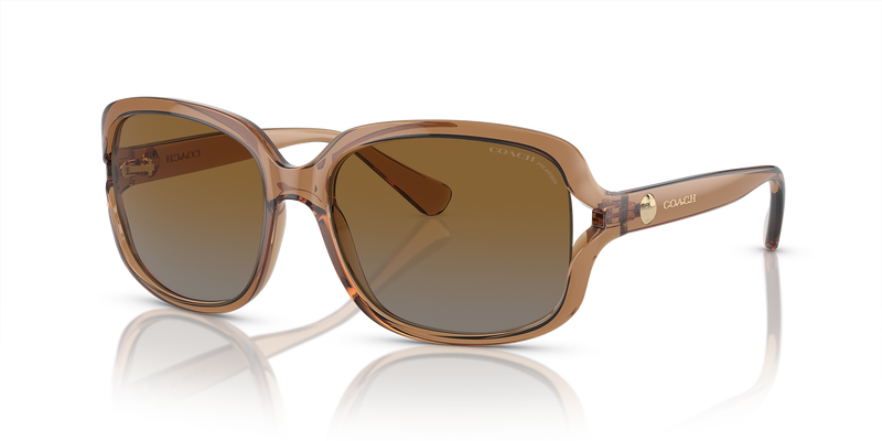Transparent Brown