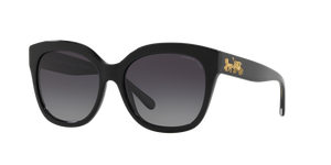 Black  - Grey Gradient Polar