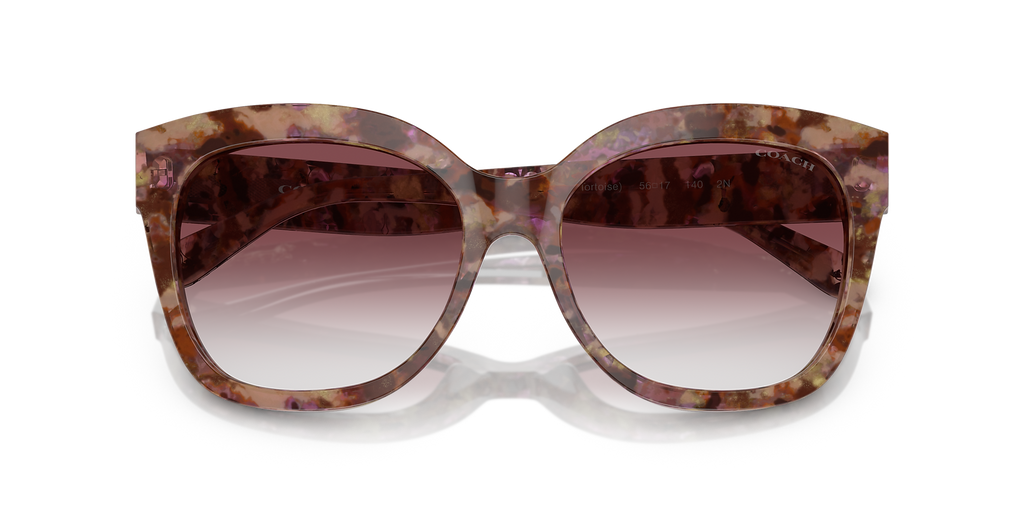 Petal Tortoise