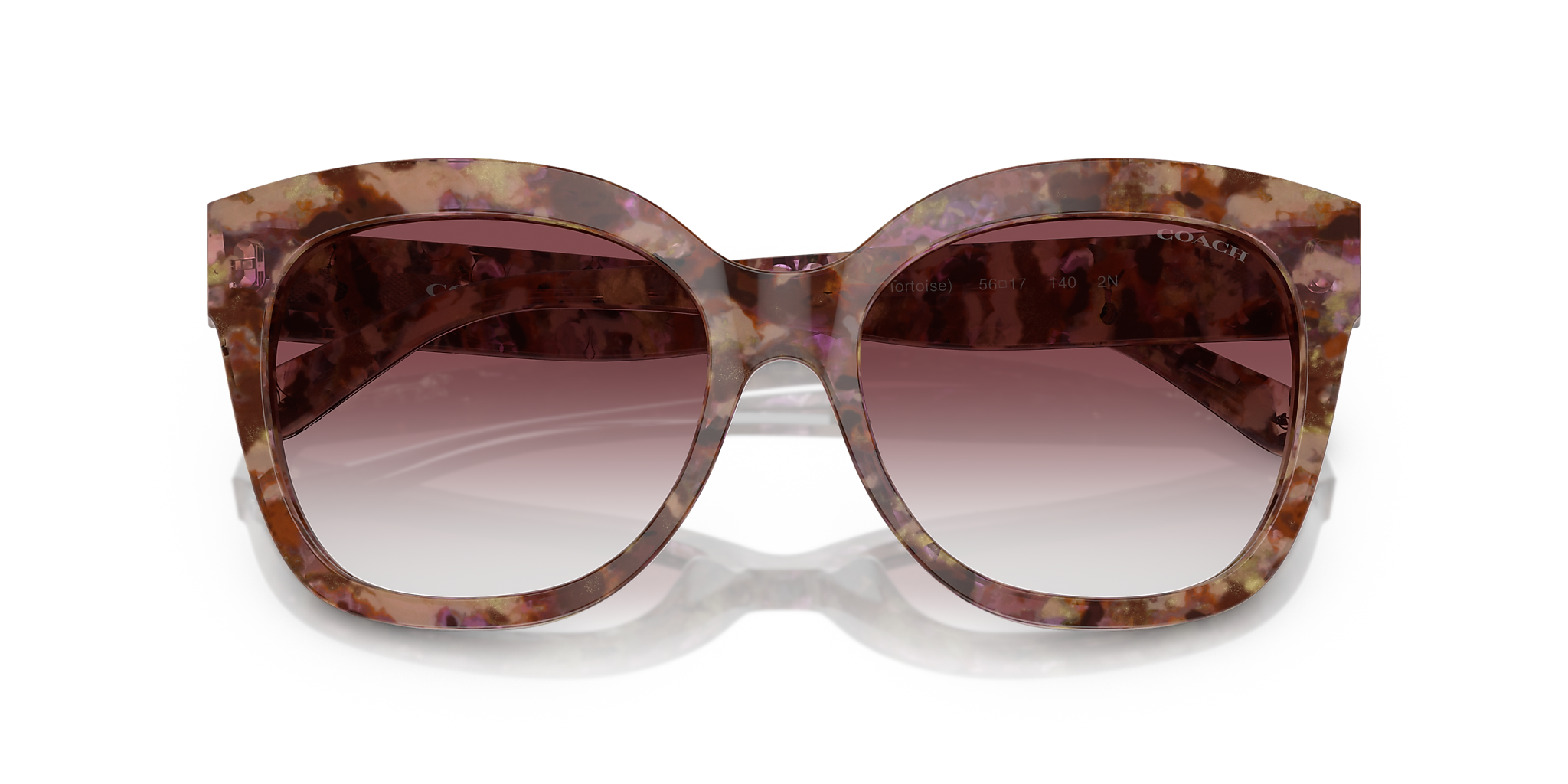 Petal Tortoise